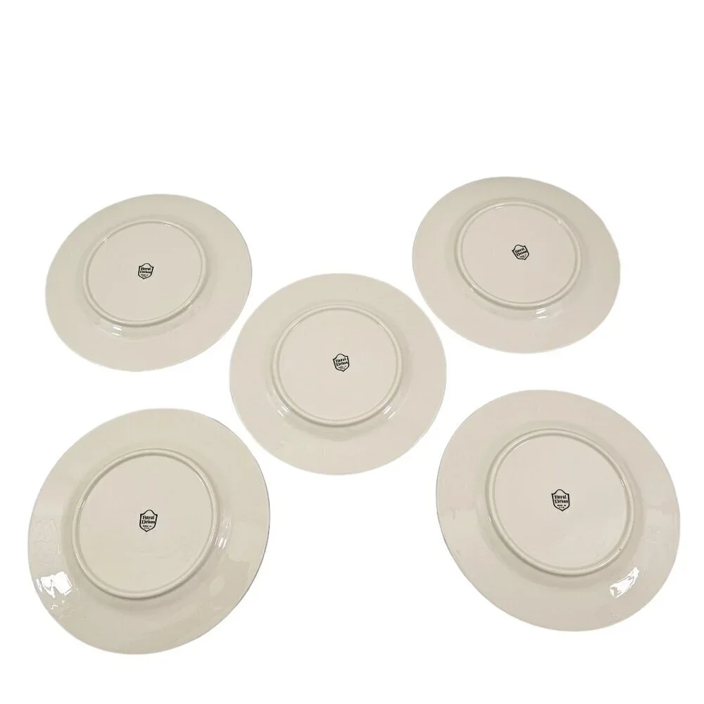 Royal Devon USA Simplicity Platinum 8 ¼” Salad Luncheon Plates – Set of 5